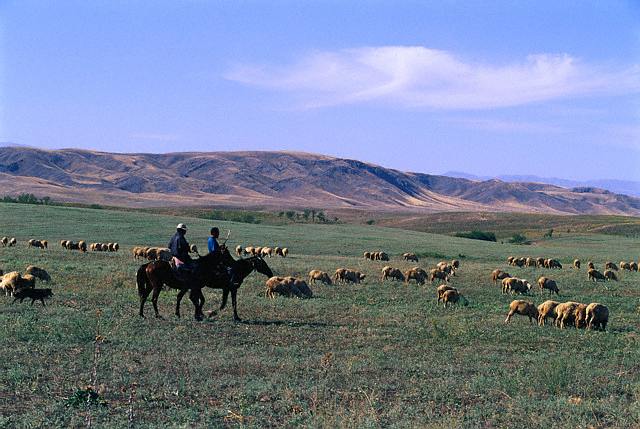 Nómadas de Kazajistán