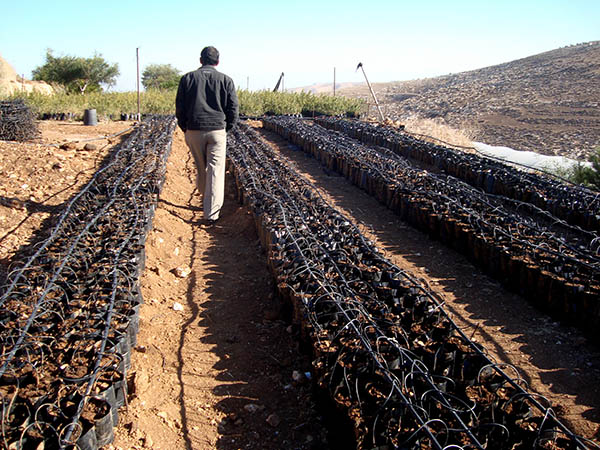 Visita técnica al sur de Líbano y Palestina