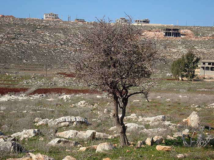 Visita técnica al sur de Líbano y Palestina