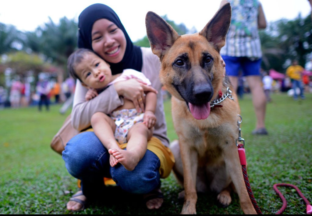 Dogs in Islamic culture and the Muslims' perception FUNCI Fundación